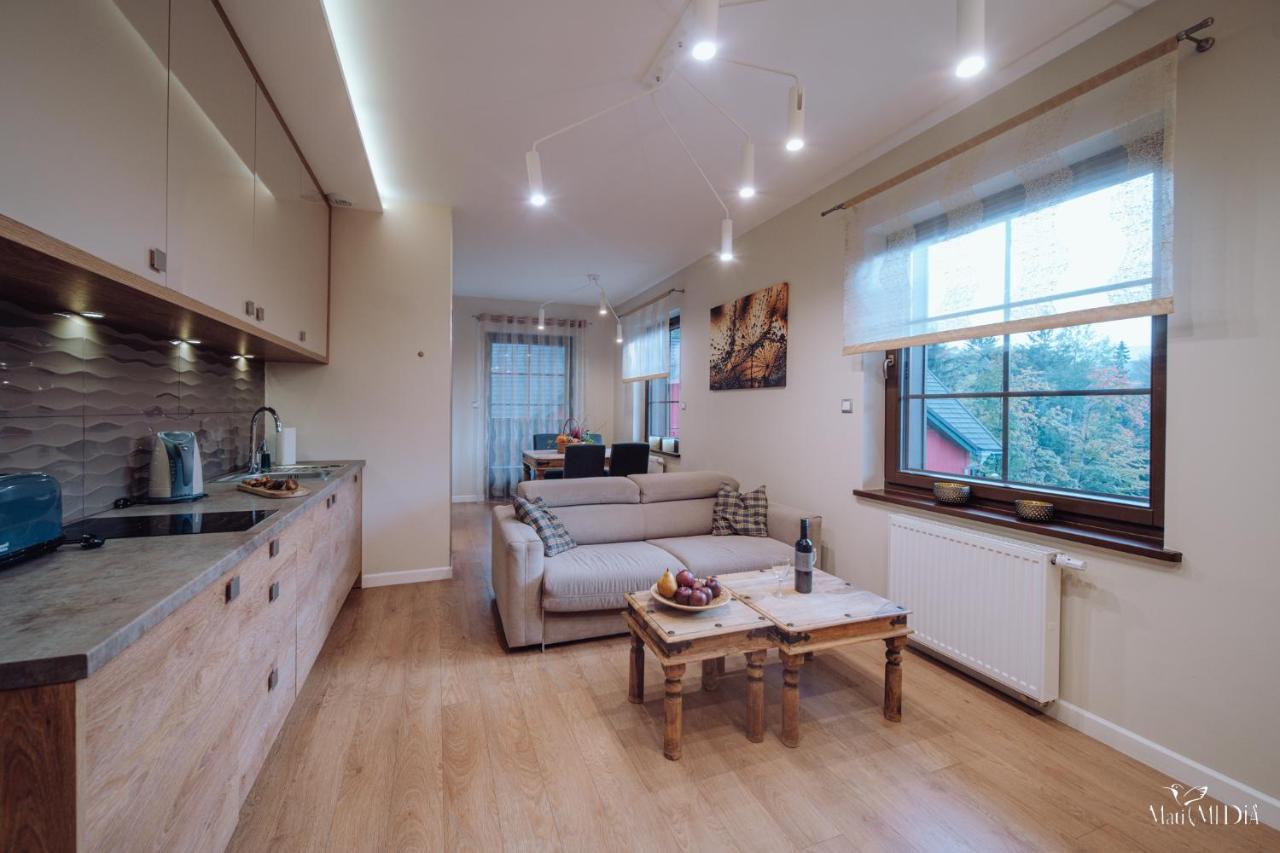 Dolina Wikingow Apartament Oye 13 シクラルスカ・ポレンバ エクステリア 写真